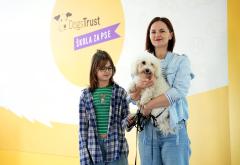 Dogs Trust uspješno završava gostujući ciklus besplatne obuke pasa i edukacije vlasnika u Mostaru